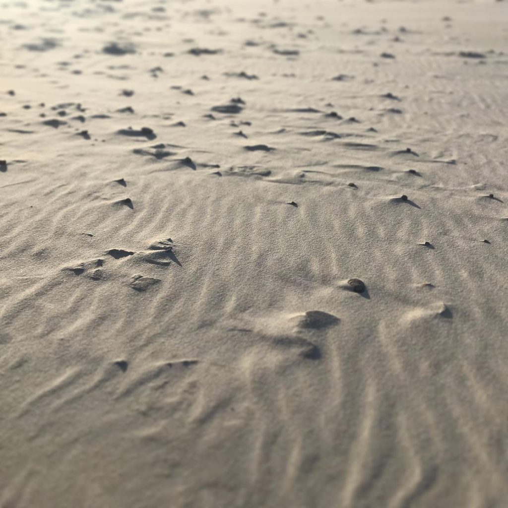 earth+air | 2018